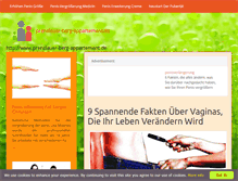 Tablet Screenshot of prenzlauer-berg-appartement.de